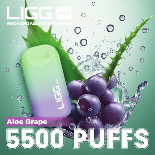 Ligg Pro 5500 Review: Budget-Friendly & Reliable