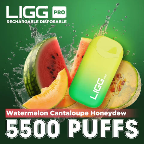 Ligg Pro 5500 Puffs Disposable Vape