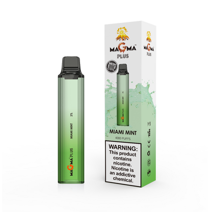 Lava Plus 4000 Puffs Disposable Vape