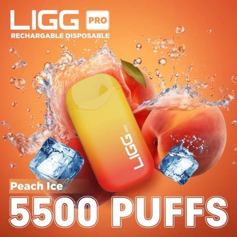 Ligg Pro 5500 Puffs Disposable Vape