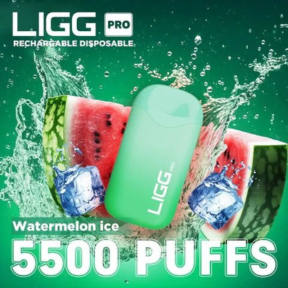 Ligg Pro 5500 Puffs Disposable Vape